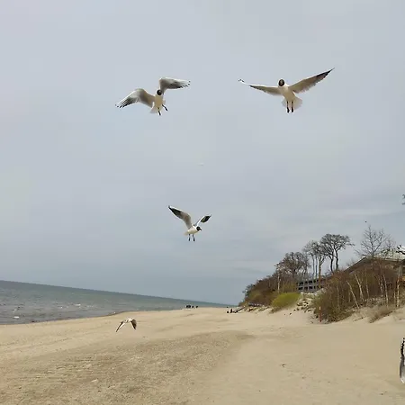 アパート Red Sun Morska