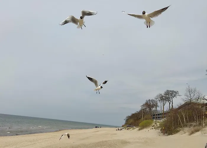 アパート Red Sun Morska